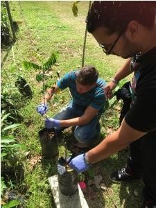 Como parte de las actividades que se realizan en esta materia los estudiantes tuvieron la oportunidad de practicar la reproducción asexual en las plantas