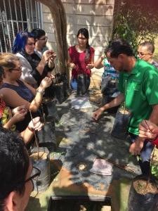 En este curso los estudiantes tienen la oportunidad de aprender lo relacionado a las características de las plantas